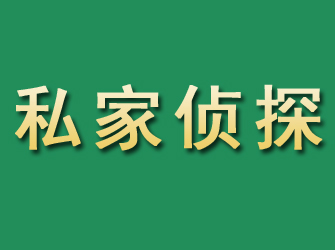 延津市私家正规侦探